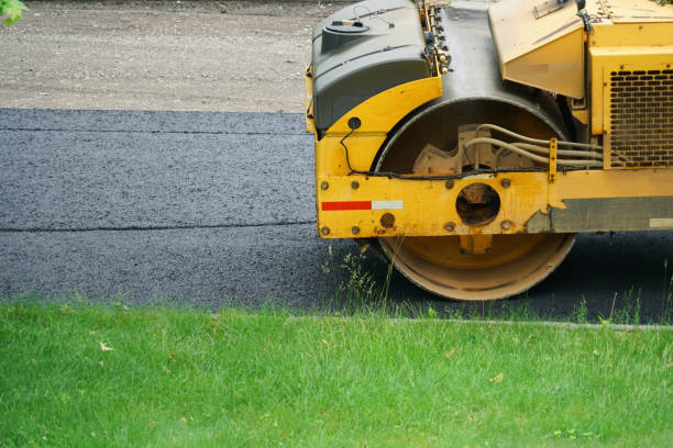Best Paver Driveway Replacement  in Carrington, ND